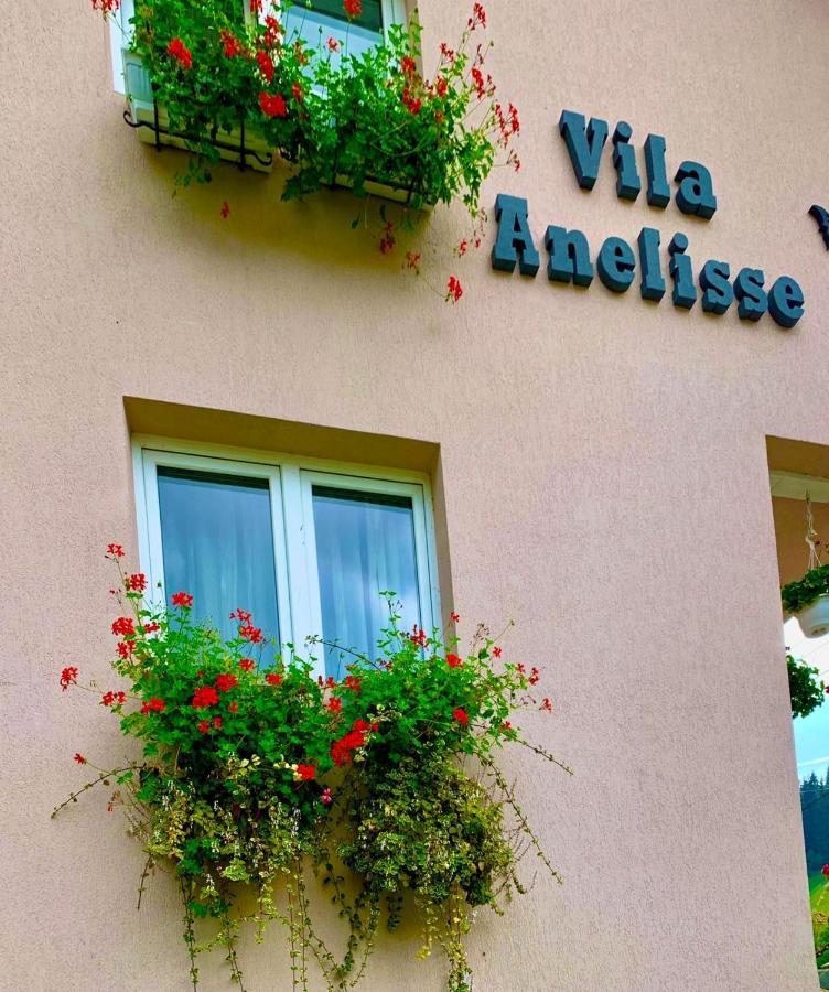 Anelisse Inn Моечиу-де-Сус Экстерьер фото